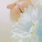 ヒメ日記 2026/01/24 01:02 投稿 りぼん アニバーサリー