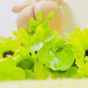 ヒメ日記 2026/01/28 02:08 投稿 りぼん アニバーサリー