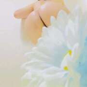 ヒメ日記 2026/02/26 02:53 投稿 りぼん アニバーサリー