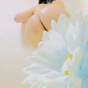 ヒメ日記 2026/03/31 01:34 投稿 りぼん アニバーサリー