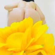 ヒメ日記 2026/04/02 23:01 投稿 りぼん アニバーサリー