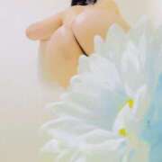 ヒメ日記 2026/04/19 23:56 投稿 りぼん アニバーサリー