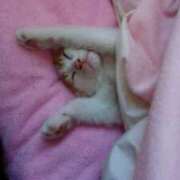 ヒメ日記 2025/02/22 08:31 投稿 つかさ マリン土浦本店