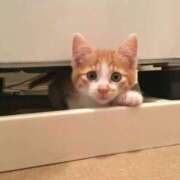 ヒメ日記 2025/03/04 14:15 投稿 つかさ マリン土浦本店