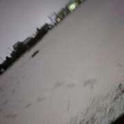 ヒメ日記 2025/03/06 15:41 投稿 つかさ マリン土浦本店