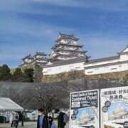 ヒメ日記 2025/03/14 18:02 投稿 つかさ マリン土浦本店