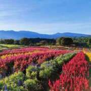 ヒメ日記 2025/01/04 10:00 投稿 ななえ 待ちナビ