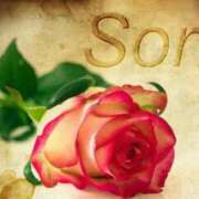 ヒメ日記 2025/01/18 13:29 投稿 ななえ 待ちナビ