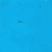 ヒメ日記 2025/07/10 13:15 投稿 ななえ 待ちナビ