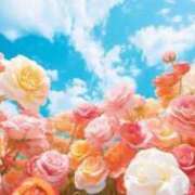 ヒメ日記 2025/11/30 09:13 投稿 ななえ 待ちナビ