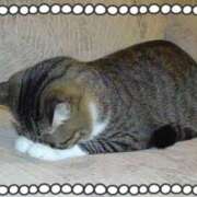 ヒメ日記 2025/03/29 15:07 投稿 みおり 素人妻達☆マイふぇらレディー