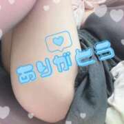 ヒメ日記 2025/05/03 17:39 投稿 みおり 素人妻達☆マイふぇらレディー