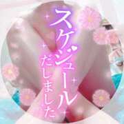 ヒメ日記 2026/07/29 10:18 投稿 みおり 素人妻達☆マイふぇらレディー