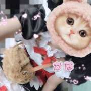 ヒメ日記 2025/03/03 10:35 投稿 かな かりんとplus　上野御徒町