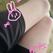 ヒメ日記 2025/10/21 10:35 投稿 かな かりんとplus　上野御徒町