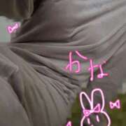 ヒメ日記 2025/11/21 10:35 投稿 かな かりんとplus　上野御徒町