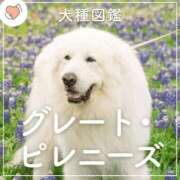 ヒメ日記 2025/02/11 20:49 投稿 牧野【まきの】 丸妻 西船橋店