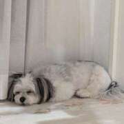 ヒメ日記 2025/05/11 21:34 投稿 牧野【まきの】 丸妻 西船橋店