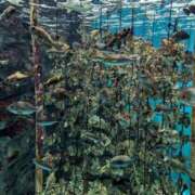 ヒメ日記 2025/06/02 23:20 投稿 牧野【まきの】 丸妻 西船橋店