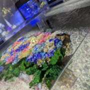 ヒメ日記 2025/06/21 08:54 投稿 牧野【まきの】 丸妻 西船橋店