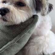 ヒメ日記 2025/06/25 09:11 投稿 牧野【まきの】 丸妻 西船橋店