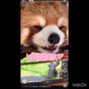 ヒメ日記 2025/07/16 23:57 投稿 牧野【まきの】 丸妻 西船橋店