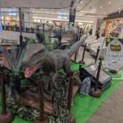 ヒメ日記 2025/08/21 09:42 投稿 牧野【まきの】 丸妻 西船橋店