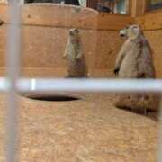 ヒメ日記 2025/08/22 05:04 投稿 牧野【まきの】 丸妻 西船橋店