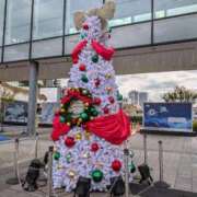 ヒメ日記 2025/11/19 23:10 投稿 牧野【まきの】 丸妻 西船橋店