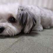 ヒメ日記 2025/11/21 06:24 投稿 牧野【まきの】 丸妻 西船橋店