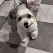 ヒメ日記 2025/11/21 06:29 投稿 牧野【まきの】 丸妻 西船橋店