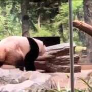 ヒメ日記 2025/11/26 00:30 投稿 牧野【まきの】 丸妻 西船橋店