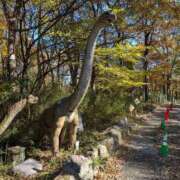 ヒメ日記 2025/12/03 09:27 投稿 牧野【まきの】 丸妻 西船橋店