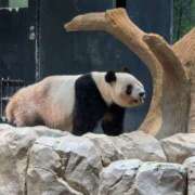 ヒメ日記 2025/12/16 17:30 投稿 牧野【まきの】 丸妻 西船橋店