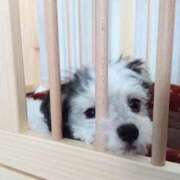 ヒメ日記 2026/01/11 17:41 投稿 牧野【まきの】 丸妻 西船橋店