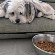 ヒメ日記 2026/03/06 09:07 投稿 牧野【まきの】 丸妻 西船橋店