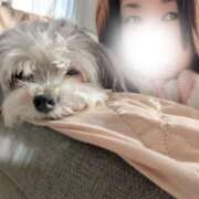 ヒメ日記 2026/04/26 07:48 投稿 牧野【まきの】 丸妻 西船橋店