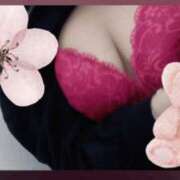 ヒメ日記 2025/03/29 03:03 投稿 うた 川崎・東横人妻城