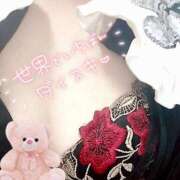 ヒメ日記 2025/04/15 21:33 投稿 うた 川崎・東横人妻城