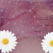 ヒメ日記 2025/05/09 06:48 投稿 うた 川崎・東横人妻城