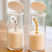 ヒメ日記 2025/08/15 16:18 投稿 うた 川崎・東横人妻城