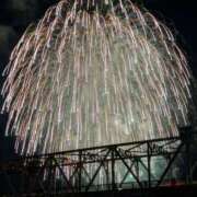 ヒメ日記 2025/08/19 01:09 投稿 うた 川崎・東横人妻城