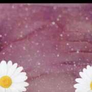 ヒメ日記 2025/12/19 21:40 投稿 うた 川崎・東横人妻城