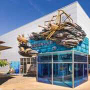 ヒメ日記 2025/12/20 10:32 投稿 うた 川崎・東横人妻城