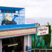 ヒメ日記 2025/12/26 17:08 投稿 うた 川崎・東横人妻城