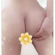 ヒメ日記 2025/04/02 15:10 投稿 橘 みつり こあくまな熟女たち三河店（KOAKUMAグループ）