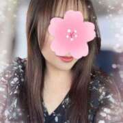 ヒメ日記 2025/04/13 13:29 投稿 橘 みつり こあくまな熟女たち三河店（KOAKUMAグループ）