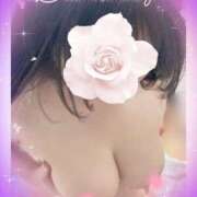 ヒメ日記 2025/05/11 09:52 投稿 橘 みつり こあくまな熟女たち三河店（KOAKUMAグループ）