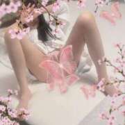 ヒメ日記 2026/03/05 16:43 投稿 橘 みつり こあくまな熟女たち三河店（KOAKUMAグループ）