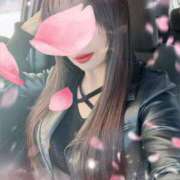 ヒメ日記 2026/03/09 09:55 投稿 橘 みつり こあくまな熟女たち三河店（KOAKUMAグループ）